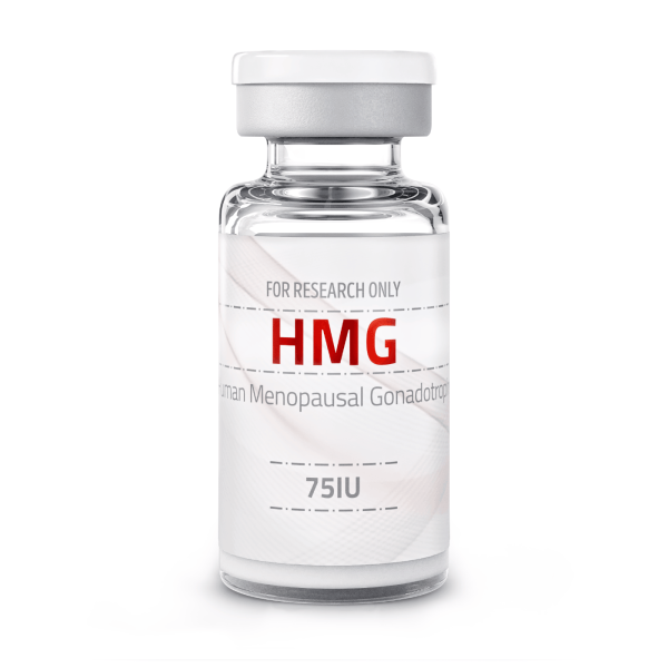 Human Menopausal Gonadotropin